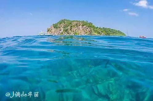 梦幻西游电脑版