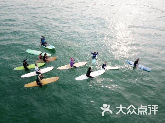 白色森林逃脱