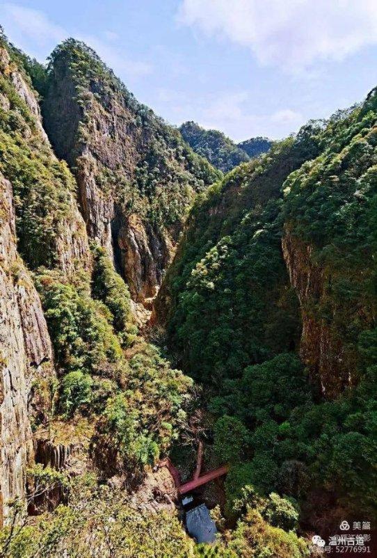 全战：不列颠王座